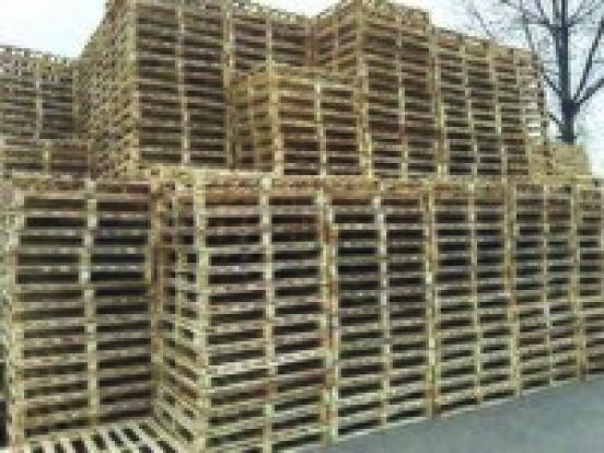 فعالیت بزرگ ترین واحد پالت سازی شمال غرب کشور در میاندوآب