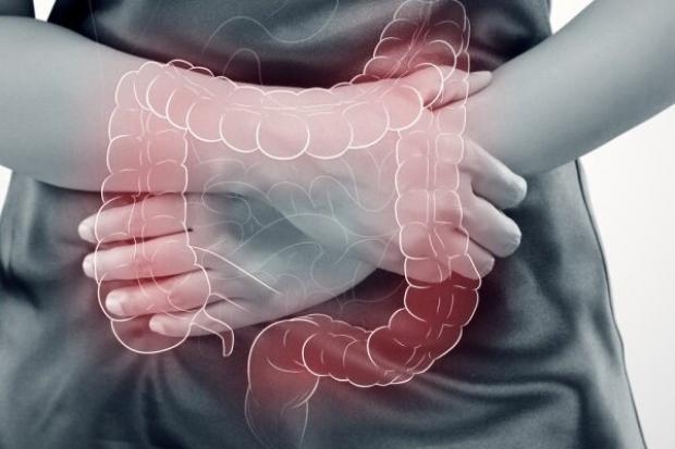 تاثیر رژیم غذایی کم پروتئین بر پیشرفت سرطان روده بزرگ