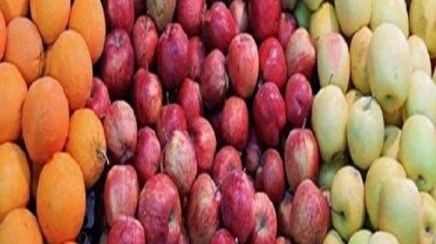 آغاز توزیع سیب و پرتقال در آذربایجان شرقی