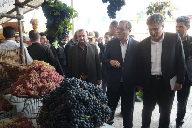 استاندار آذربایجان‌غربی گفت: باید با نگاه توسعه‌محور، زمینه معرفی، فرآوری و عرضه انگور سیاه میرآباد در بازارهای داخلی و خارجی بیش از پیش فراهم شود.