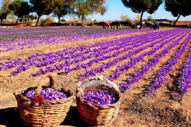 آذربایجان غربی جزو ۱۰ استان برتر کشور در تخصیص اعتبارات تملک دارایی به گردشگری