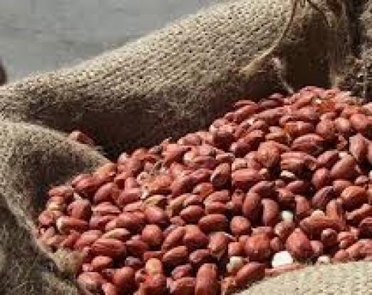  تاثیر استرس بر اشتهای بزرگسالان چاق و لاغر