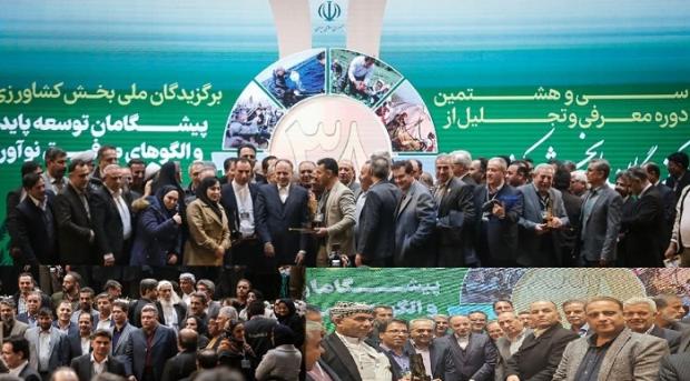 ملی‌پوش فوتسال زنان: خط نخورده بودم/ ۶ سال فقط به کافا اکتفا کردیم