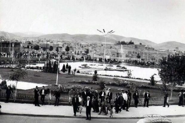  مکمل خرفه و تاثیر آن بر کبد چرب