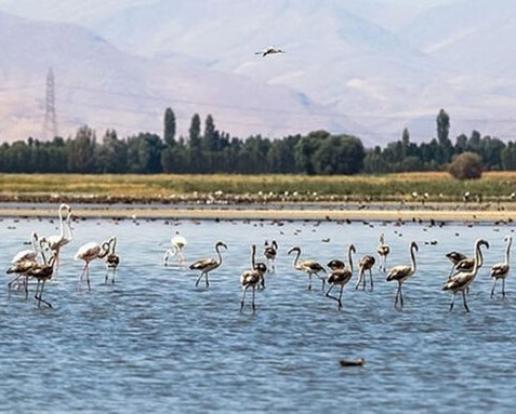 پارێزگاری ئازەربایجانی ڕۆژئاوا وتی: کارەکانی بەشی گشتی پاراستنی ژینگە لە بەڕێوەبردنی تاڵاوەکانی پارێزگاکە جێگای دەستخۆشییە.