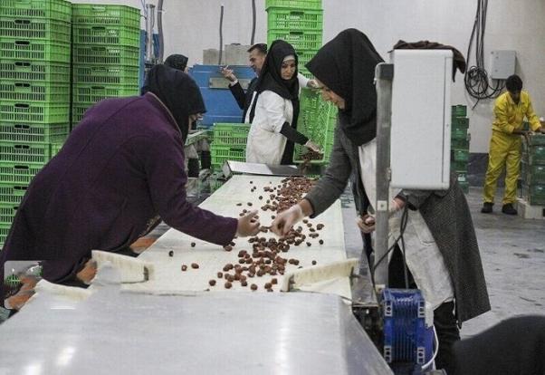 بخش تعاون؛ قانونِ مقتدر، واقعیتِ بی‌رمق