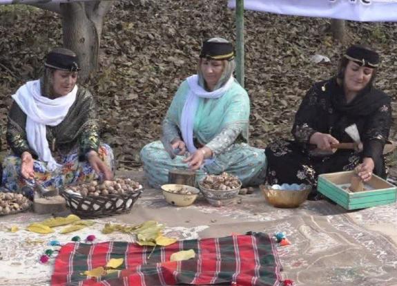 برگزاری دومین جشنواره گردو در باشماخ تیلکوی سقز