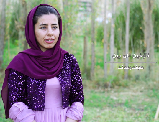 نازه نین نایبین، له زور بواران دا چالاکی هونه ری هه یه و وه ک ماموستا و راهینه ری نیگارگه ری له قوتابخانه کانی پیرانشار خه ریکی وانه گوتنه وه یه.