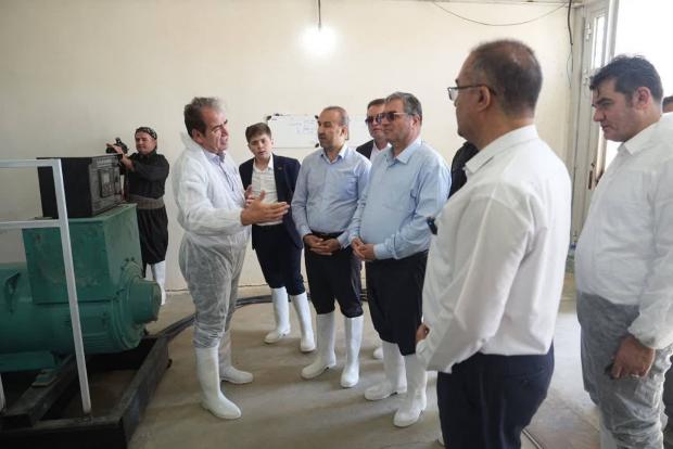 وقتی تولید، نبض زندگی را به حرکت درمی‌آورد؛ روایت یک جهش اقتصادی از روستای آغلیان بوکان
