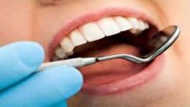 ۱۰ درصد گردوی کشور در آذربایجان شرقی تولید شد